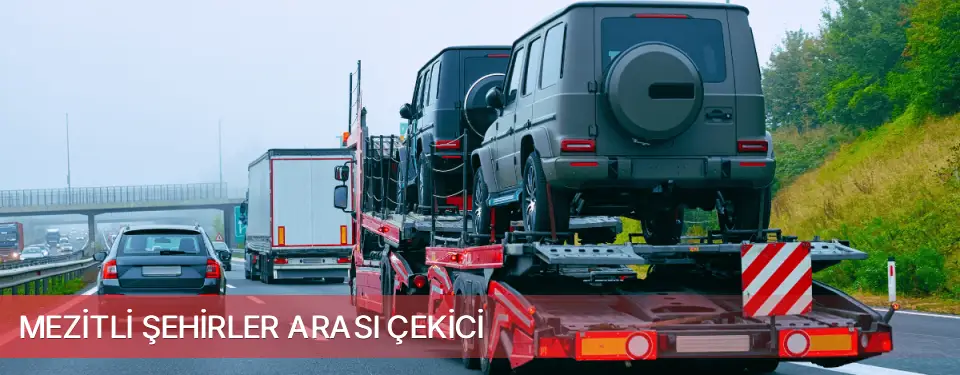 Mezitli İlçemi Şehirler Arası Çekici